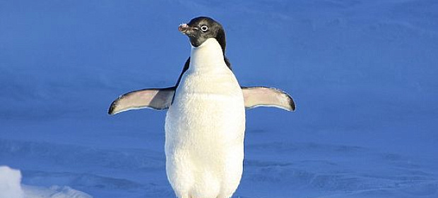 Закажите по скидке